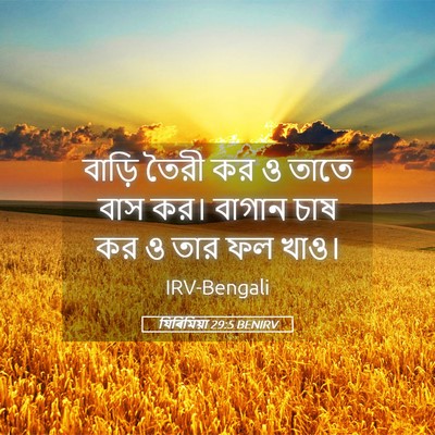 Picture 05 - যিৰিমিয়া 29:5 BENIRV - বাড়ি তৈরী কর ও - Bible Verse Picture