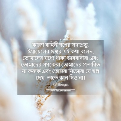Picture 05 - যিৰিমিয়া 29:8 BENIRV - কারণ বাহিনীগণের - Bible Verse Picture