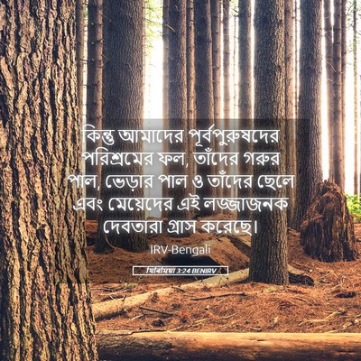 Picture 05 - যিৰিমিয়া 3:24 BENIRV - কিন্তু আমাদের - Bible Verse Picture