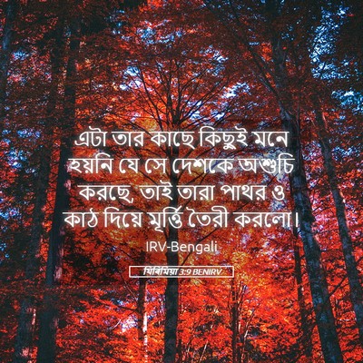 Picture 05 - যিৰিমিয়া 3:9 BENIRV - এটা তার কাছে কিছুই - Bible Verse Picture