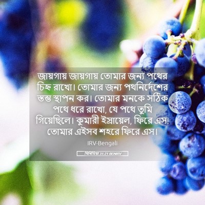 Picture 05 - যিৰিমিয়া 31:21 BENIRV - জায়গায় জায়গায় - Bible Verse Picture