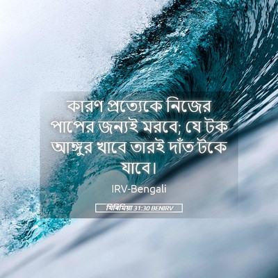 Picture 05 - যিৰিমিয়া 31:30 BENIRV - কারণ প্রত্যেকে - Bible Verse Picture