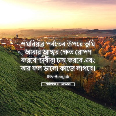 Picture 05 - যিৰিমিয়া 31:5 BENIRV - শমরিয়ার পর্বতের - Bible Verse Picture