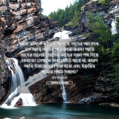 Picture 05 - যিৰিমিয়া 31:9 BENIRV - তারা কাঁদতে - Bible Verse Picture