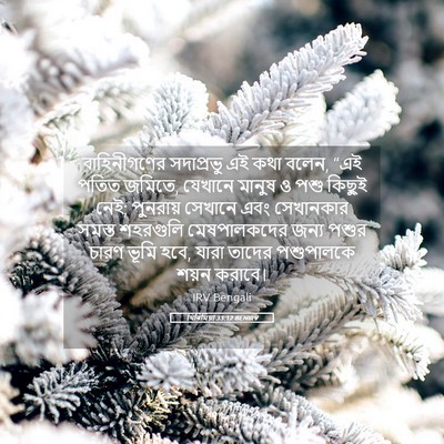 Picture 05 - যিৰিমিয়া 33:12 BENIRV - বাহিনীগণের - Bible Verse Picture
