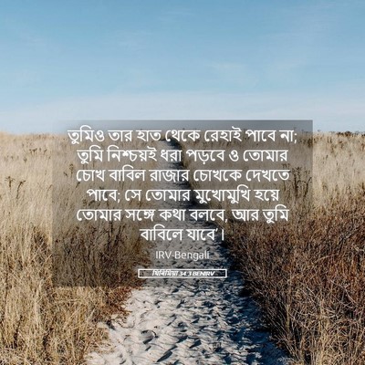 Picture 05 - যিৰিমিয়া 34:3 BENIRV - তুমিও তার হাত থেকে - Bible Verse Picture