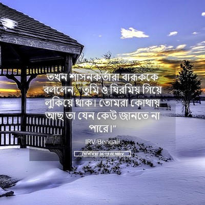 Picture 05 - যিৰিমিয়া 36:19 BENIRV - তখন শাসনকর্তারা - Bible Verse Picture
