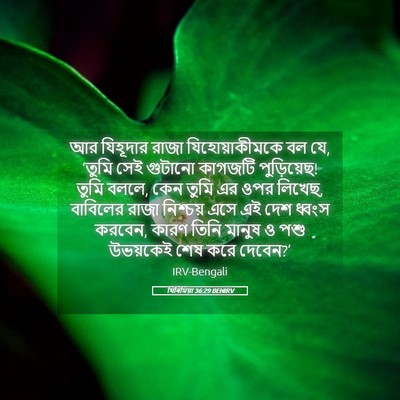 Picture 05 - যিৰিমিয়া 36:29 BENIRV - আর যিহূদার রাজা - Bible Verse Picture