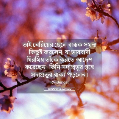 Picture 05 - যিৰিমিয়া 36:8 BENIRV - তাই নেরিয়ের ছেলে - Bible Verse Picture
