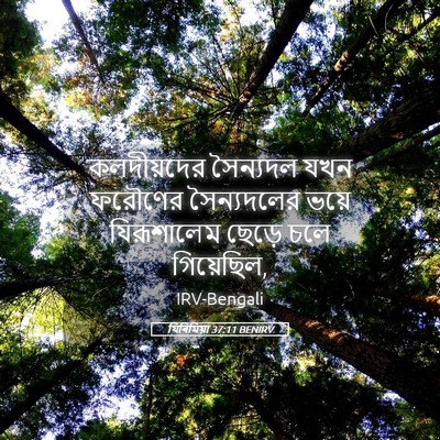 Picture 05 - যিৰিমিয়া 37:11 BENIRV - কলদীয়দের সৈন্যদল - Bible Verse Picture
