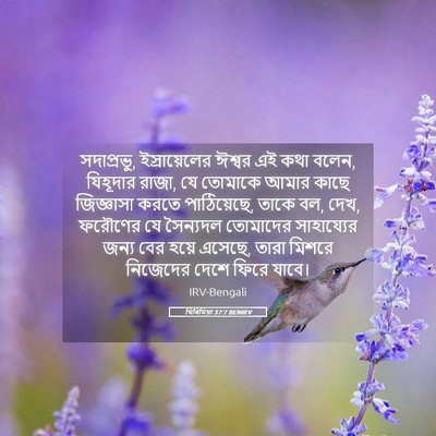 Picture 05 - যিৰিমিয়া 37:7 BENIRV - সদাপ্রভু, - Bible Verse Picture