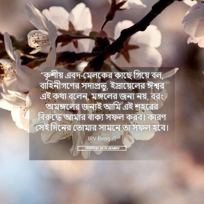Picture 05 - যিৰিমিয়া 39:16 BENIRV - “কূশীয় - Bible Verse Picture