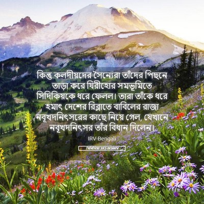 Picture 05 - যিৰিমিয়া 39:5 BENIRV - কিন্তু কলদীয়দের - Bible Verse Picture