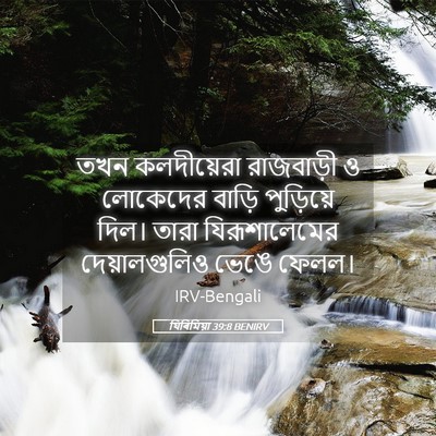 Picture 05 - যিৰিমিয়া 39:8 BENIRV - তখন কলদীয়েরা - Bible Verse Picture