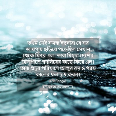 Picture 05 - যিৰিমিয়া 40:12 BENIRV - তখন সেই সমস্ত - Bible Verse Picture