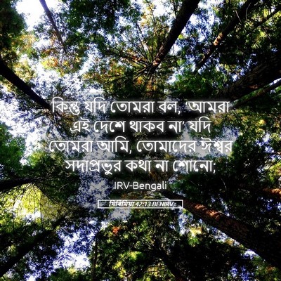 Picture 05 - যিৰিমিয়া 42:13 BENIRV - কিন্তু যদি তোমরা - Bible Verse Picture