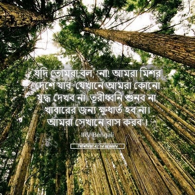 Picture 05 - যিৰিমিয়া 42:14 BENIRV - যদি তোমরা বল, ‘না! - Bible Verse Picture