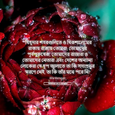 Picture 05 - যিৰিমিয়া 44:21 BENIRV - “যিহূদার - Bible Verse Picture