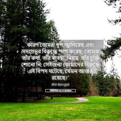 Picture 05 - যিৰিমিয়া 44:23 BENIRV - কারণ তোমরা ধূপ - Bible Verse Picture