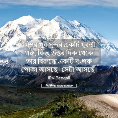 Picture 05 - যিৰিমিয়া 46:20 BENIRV - মিশর খুব সুন্দর - Bible Verse Picture