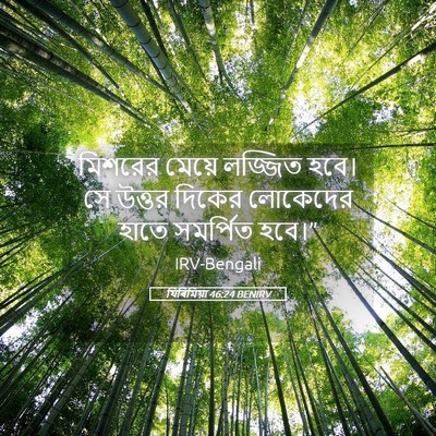 Picture 05 - যিৰিমিয়া 46:24 BENIRV - মিশরের মেয়ে - Bible Verse Picture