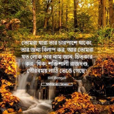 Picture 05 - যিৰিমিয়া 48:17 BENIRV - তোমরা যারা তার - Bible Verse Picture