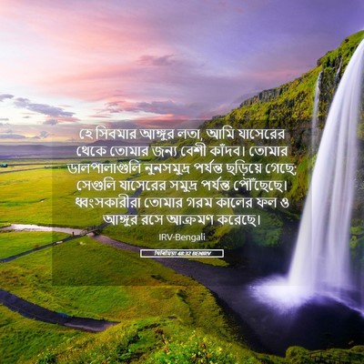 Picture 05 - যিৰিমিয়া 48:32 BENIRV - হে সিবমার আঙ্গুর - Bible Verse Picture