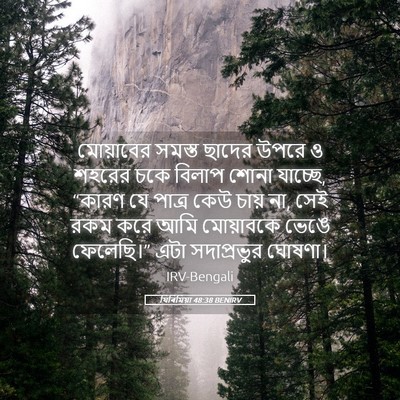 Picture 05 - যিৰিমিয়া 48:38 BENIRV - মোয়াবের সমস্ত - Bible Verse Picture