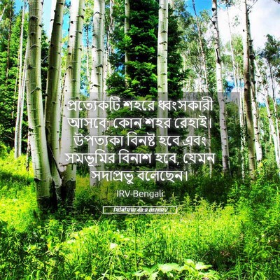 Picture 05 - যিৰিমিয়া 48:8 BENIRV - প্রত্যেকটি শহরে - Bible Verse Picture