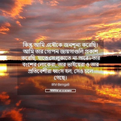 Picture 05 - যিৰিমিয়া 49:10 BENIRV - কিন্তু আমি এষৌকে - Bible Verse Picture
