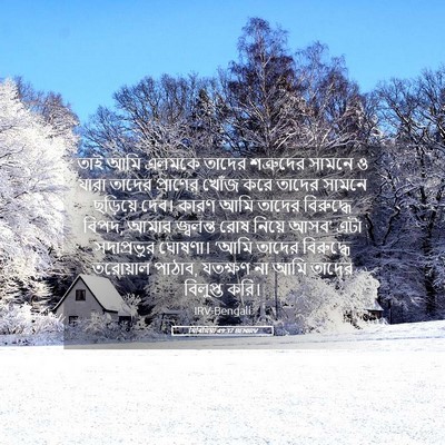 Picture 05 - যিৰিমিয়া 49:37 BENIRV - তাই আমি এলমকে - Bible Verse Picture