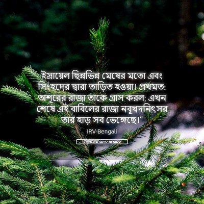 Picture 05 - যিৰিমিয়া 50:17 BENIRV - ইস্রায়েল - Bible Verse Picture