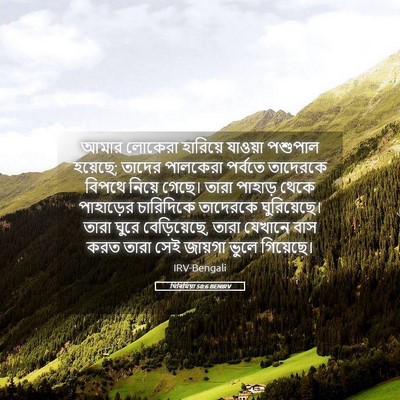 Picture 05 - যিৰিমিয়া 50:6 BENIRV - আমার লোকেরা - Bible Verse Picture