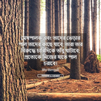 Picture 05 - যিৰিমিয়া 6:3 BENIRV - মেষপালক এবং তাদের - Bible Verse Picture