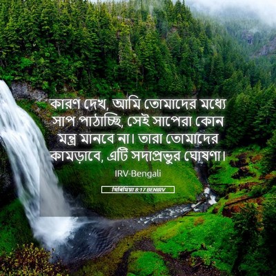 Picture 05 - যিৰিমিয়া 8:17 BENIRV - কারণ দেখ, আমি - Bible Verse Picture