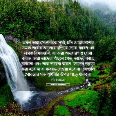 Picture 05 - যিৰিমিয়া 8:2 BENIRV - তখন তারা সেগুলিকে - Bible Verse Picture
