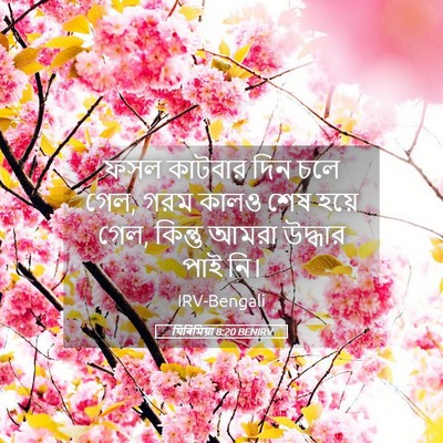 Picture 05 - যিৰিমিয়া 8:20 BENIRV - ফসল কাটবার দিন চলে - Bible Verse Picture
