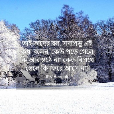 Picture 05 - যিৰিমিয়া 8:4 BENIRV - তাই তাদের বল, - Bible Verse Picture
