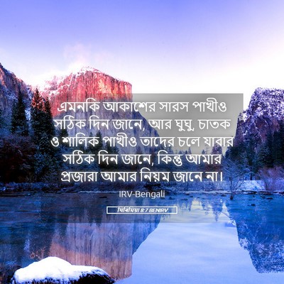 Picture 05 - যিৰিমিয়া 8:7 BENIRV - এমনকি আকাশের সারস - Bible Verse Picture