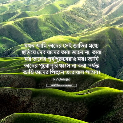 Picture 05 - যিৰিমিয়া 9:16 BENIRV - যখন আমি তাদের সেই - Bible Verse Picture
