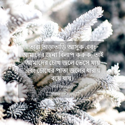 Picture 05 - যিৰিমিয়া 9:18 BENIRV - তারা তাড়াতাড়ি - Bible Verse Picture