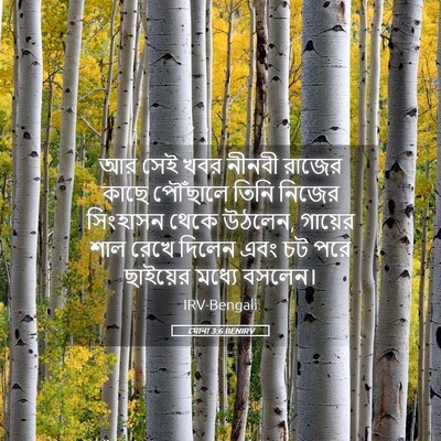 Picture 05 - যোনা 3:6 BENIRV - আর সেই খবর নীনবী - Bible Verse Picture