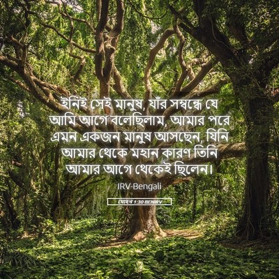 Picture 05 - যোহন 1:30 BENIRV - ইনিই সেই মানুষ, - Bible Verse Picture