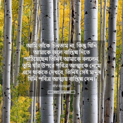 Picture 05 - যোহন 1:33 BENIRV - আমি তাঁকে চিনতাম - Bible Verse Picture