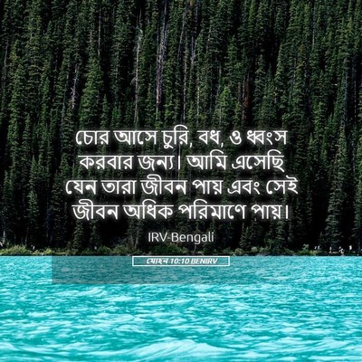 Picture 05 - যোহন 10:10 BENIRV - চোর আসে চুরি, বধ, ও - Bible Verse Picture