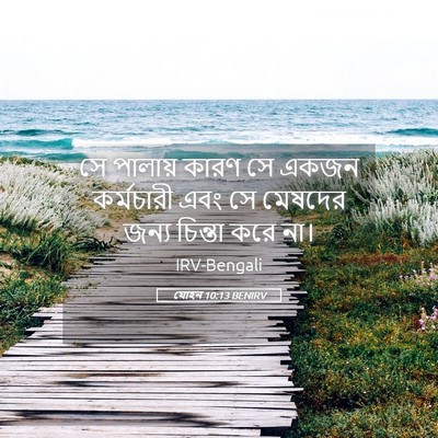 Picture 05 - যোহন 10:13 BENIRV - সে পালায় কারণ সে - Bible Verse Picture