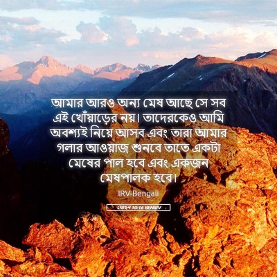 Picture 05 - যোহন 10:16 BENIRV - আমার আরও অন্য মেষ - Bible Verse Picture