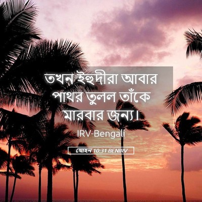 Picture 05 - যোহন 10:31 BENIRV - তখন ইহুদীরা আবার - Bible Verse Picture