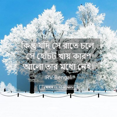 Picture 05 - যোহন 11:10 BENIRV - কিন্তু যদি সে রাতে - Bible Verse Picture