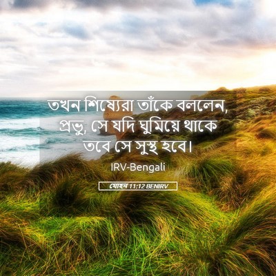 Picture 05 - যোহন 11:12 BENIRV - তখন শিষ্যেরা - Bible Verse Picture